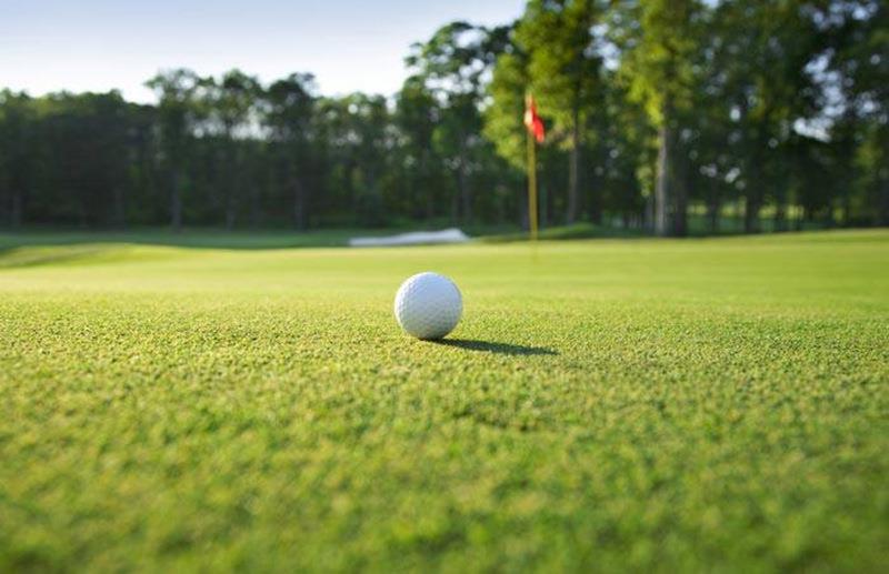 สนามกอล์ฟหญ้าเทียม artificial grass golf putting green