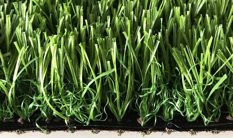 Synthetic Grass For Yard5 Synthetic Grass For Yard5