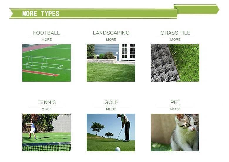 more types