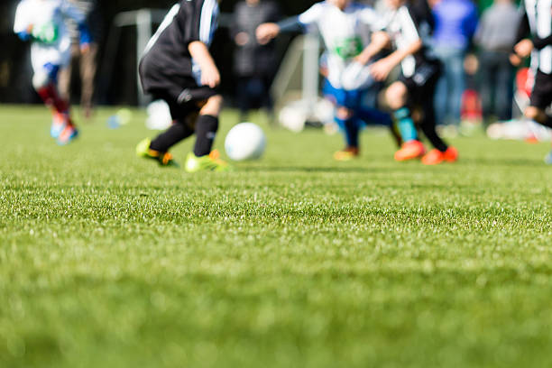 synthetic turf grass synthetic turf grass