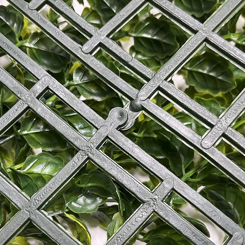 Home Fence Boxwood Hedge Wall